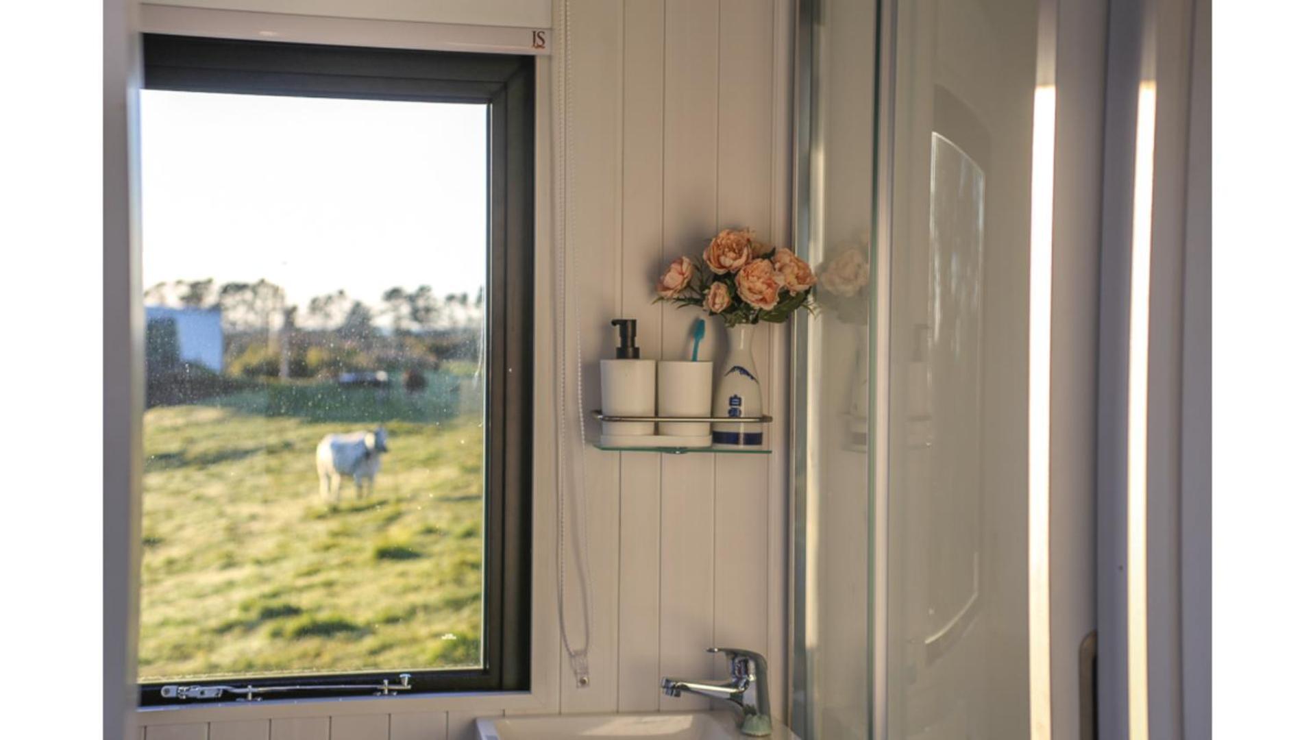 Villa Taranaki Creekside Kea By Tiny Away Stratford Esterno foto