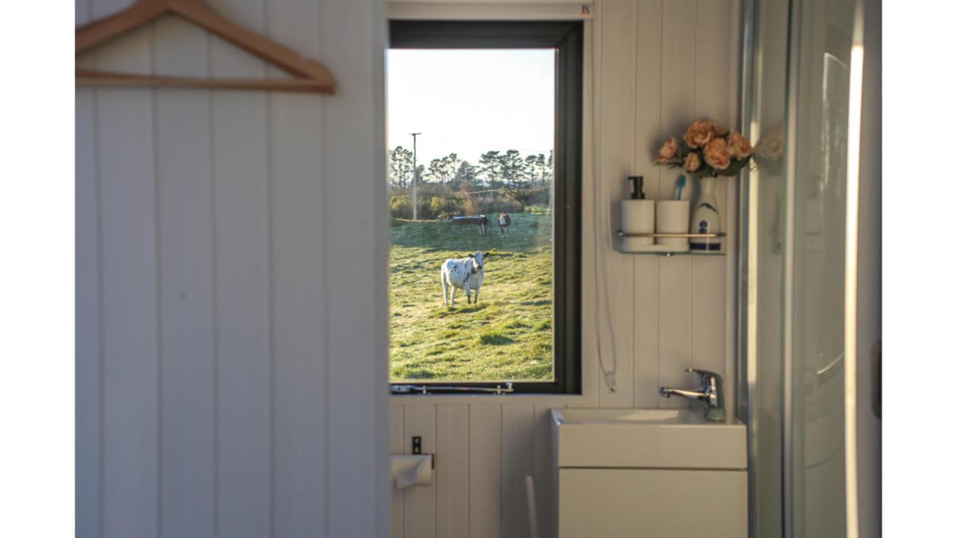 Villa Taranaki Creekside Kea By Tiny Away Stratford Esterno foto